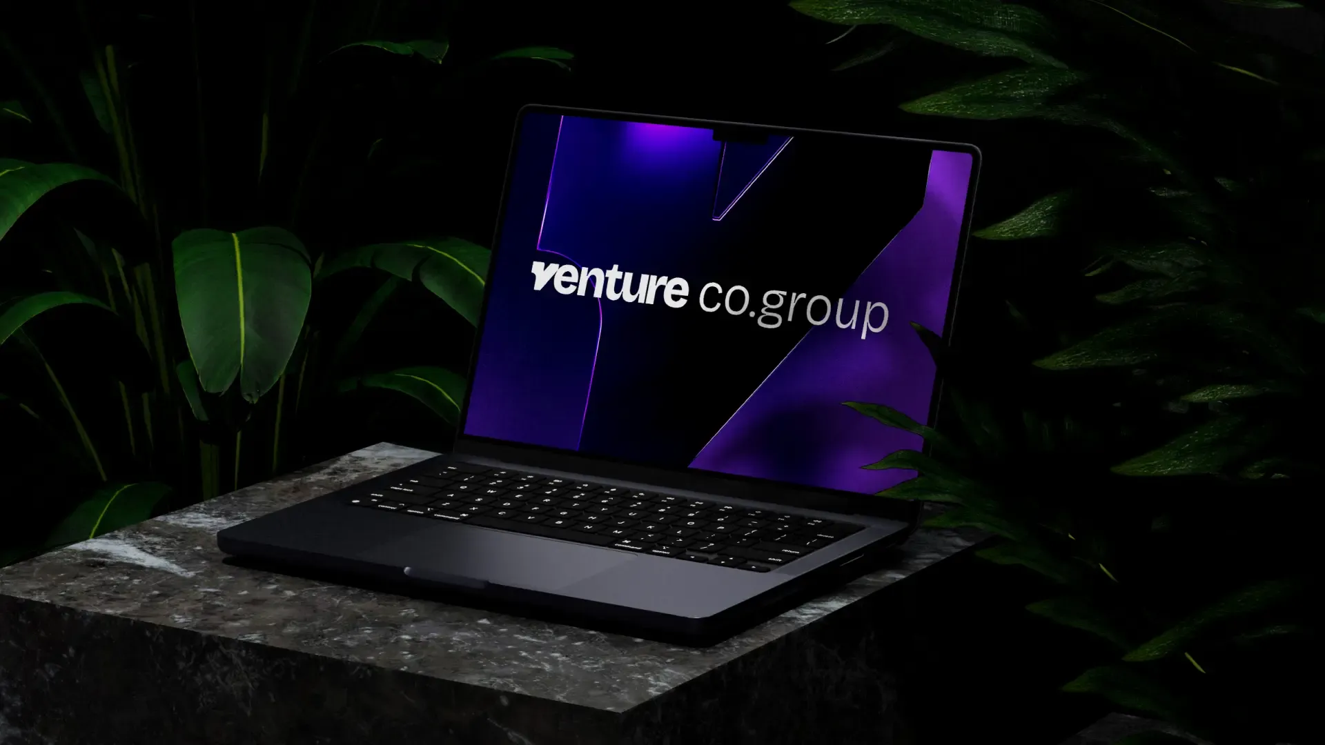 Venture Co Group rebrand, image 3