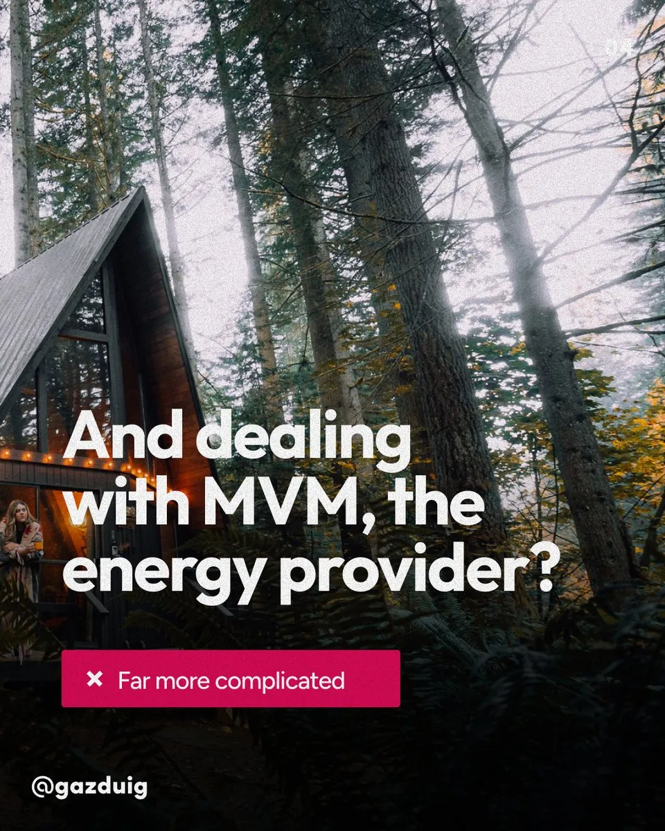 Slide with the question of what sorting something out at MVM is like, and the answer that it is far more complicated.